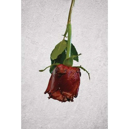 ARTIDEE | CREARTEC Immersion Rust - Set 6 ARTIDEE | CREARTEC Immersion Rust - Set - Image 4