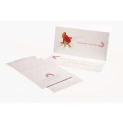 Clairefontaine 'Pollen' DIN Long Folding Cards -Copic Shop Clairefontaine26230393BPollen26230393BDINLongFoldingCards 4