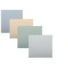 Clairefontaine Ingres Pastel Paper Assortment
