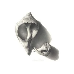 Derwent Graphic Pencil Sets -Copic Shop DerwentGraphicPencilSets 3