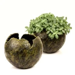 GERSTAECKER | Modelling Paste — Fine -Copic Shop GERSTAECKER7CModellingPasteE28094fine 3