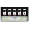 Herbin Seasons Writing & Drawing Ink Sets -Copic Shop HerbinSeasonsWriting26amp3BDrawingInkSets