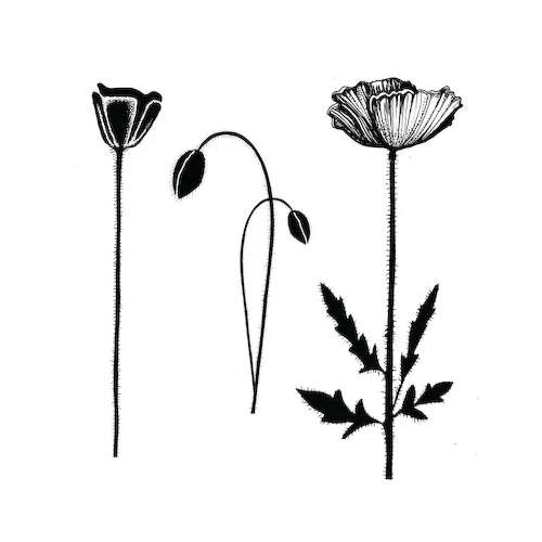 Lavinia Stamps, Group Poppies 3 Lavinia Stamps, Group Poppies