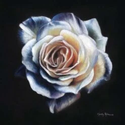 PanPastel Kirsty Rebecca Set 9 PanPastel Kirsty Rebecca Set -Copic Shop PanPastelKirstyRebeccaSet 3