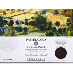 Sennelier Pastel Card -Copic Shop SennelierPastelCard 4