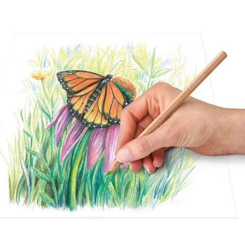 Staedtler Design Journey Pastel Pencil Set 146P 4 Staedtler Design Journey Pastel Pencil Set 146P - Image 2